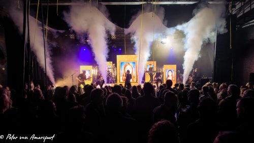 DareDevils - Zing Nederlands met me