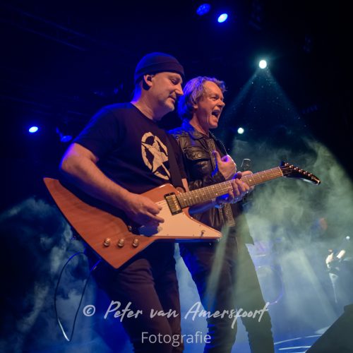 50 year anniversary U2 - LikeU2