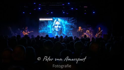 50 year anniversary U2 - LikeU2