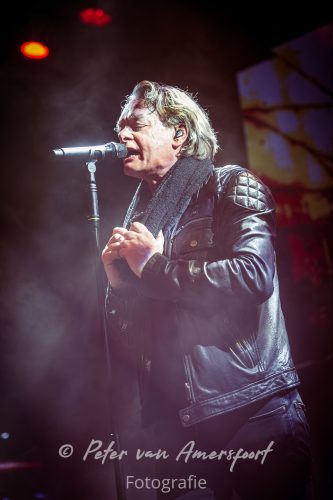 50 year anniversary U2 - LikeU2