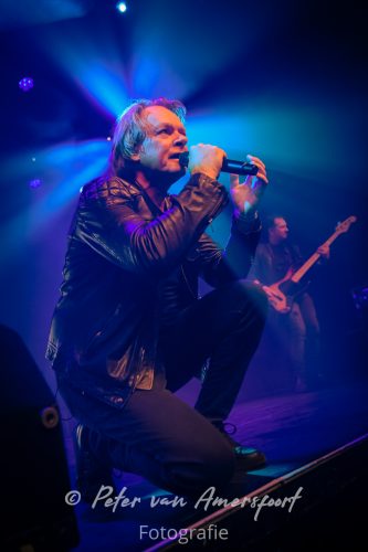 50 year anniversary U2 - LikeU2