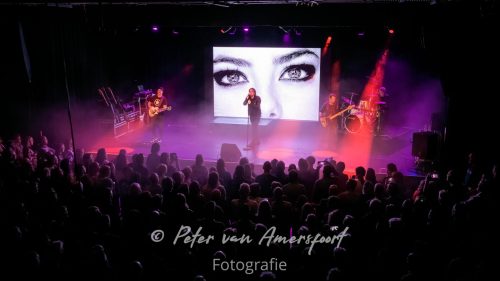 50 year anniversary U2 - LikeU2