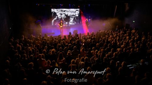 50 year anniversary U2 - LikeU2