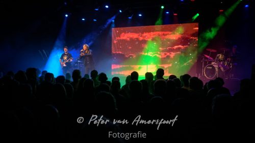 50 year anniversary U2 - LikeU2