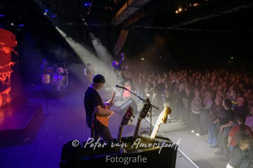 50 year anniversary U2 - LikeU2