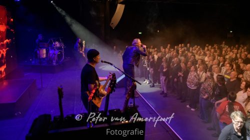 50 year anniversary U2 - LikeU2