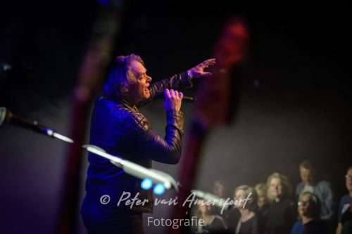 50 year anniversary U2 - LikeU2