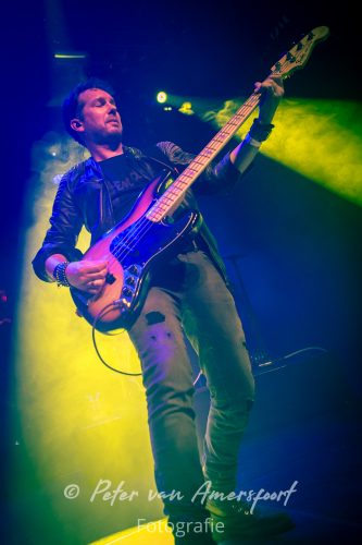 50 year anniversary U2 - LikeU2