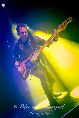 50 year anniversary U2 - LikeU2