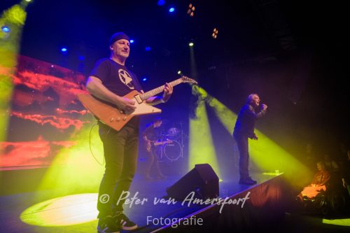 50 year anniversary U2 - LikeU2