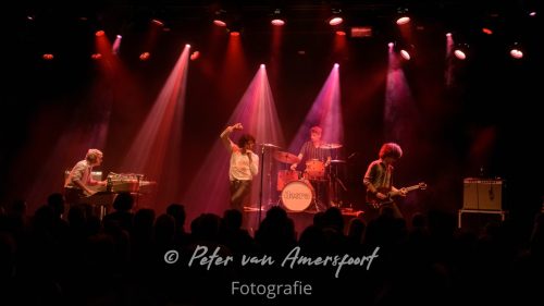 The Doors in Concert
