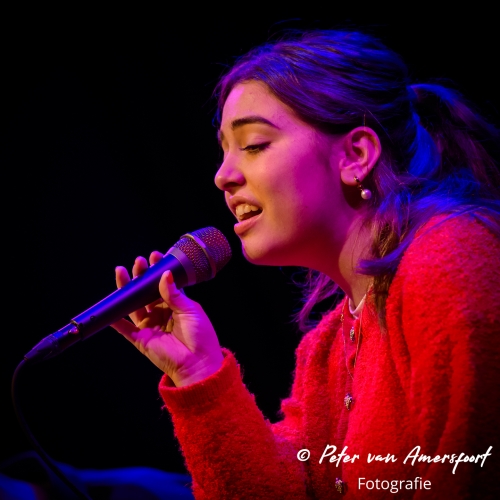 Dag van de Achterhoekse Pop 2024