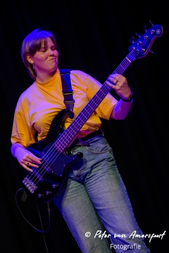 Dag van de Achterhoekse Pop 2024