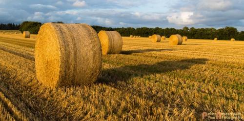 2017-08-24 Vakantie Denmarken-02