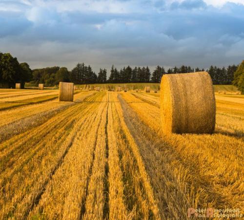 2017-08-24 Vakantie Denmarken-04