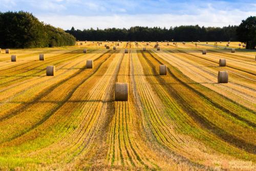 2017-08-24 Vakantie Denmarken-05