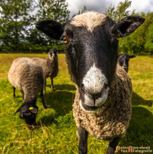 2017-08-25 Vakantie Denmarken-14