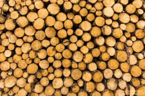 2017-08-25 Vakantie Denmarken-18