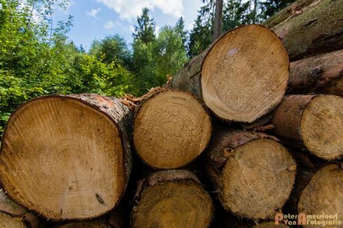 2017-08-25 Vakantie Denmarken-19