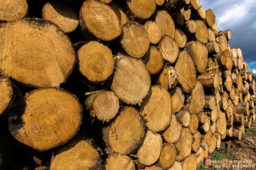 2017-08-25 Vakantie Denmarken-22