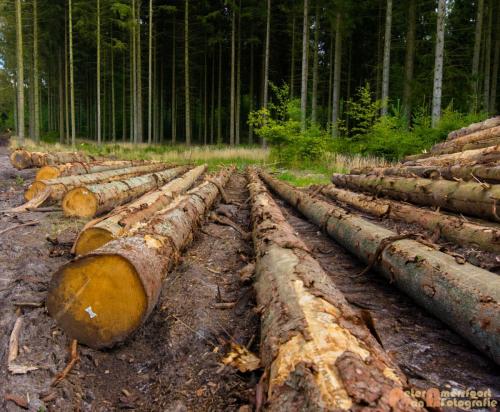 2017-08-25 Vakantie Denmarken-23