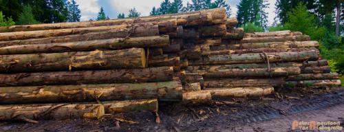 2017-08-25 Vakantie Denmarken-24