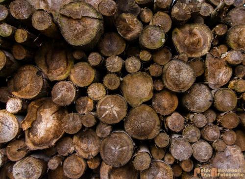 2017-08-25 Vakantie Denmarken-25