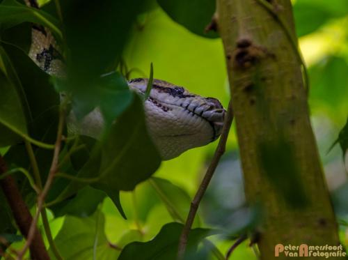 2017-08-27 Vakantie Denmarken-19