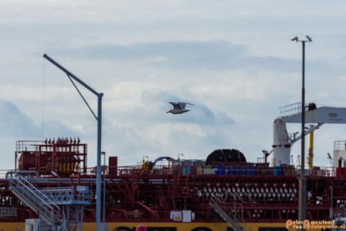 2018-09-30 Europoort-2e Maasvlakte 006