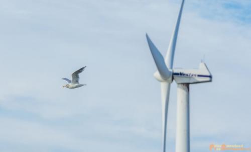 2018-09-30 Europoort-2e Maasvlakte 029