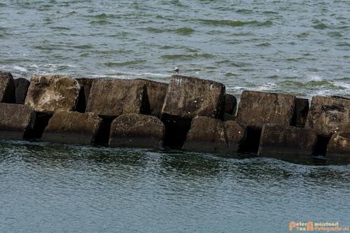 2018-09-30 Europoort-2e Maasvlakte 032