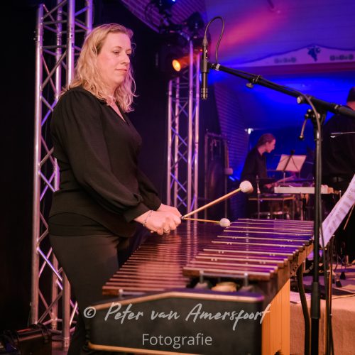 Harmonie Wilhemina - Concert Skylines