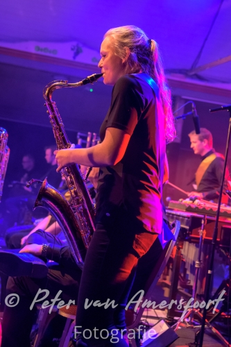 Harmonie Wilhelmina - Royal Night concert