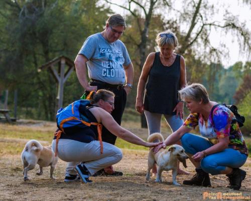 2018-08-22 Honden Reunie 002