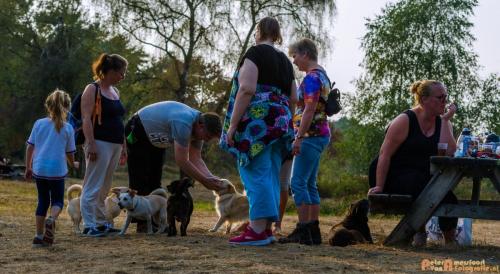 2018-08-22 Honden Reunie 003