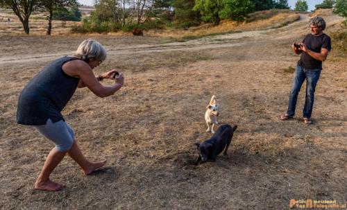 2018-08-22 Honden Reunie 006a