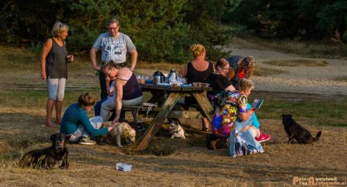 2018-08-22 Honden Reunie 012