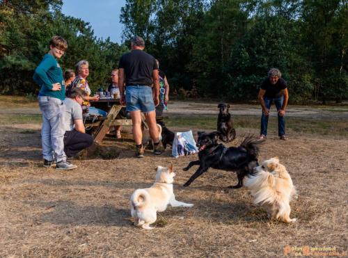 2018-08-22 Honden Reunie 014