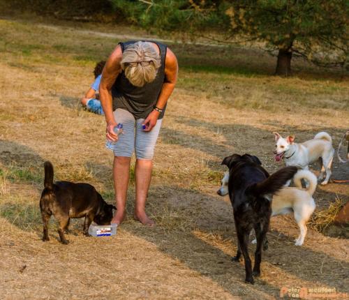 2018-08-22 Honden Reunie 016