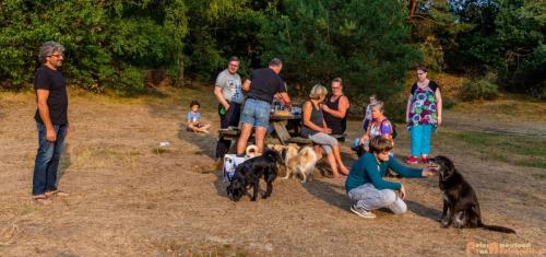 2018-08-22 Honden Reunie 017