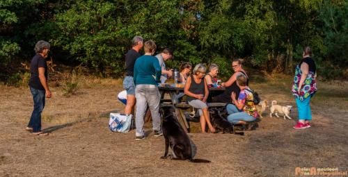 2018-08-22 Honden Reunie 022