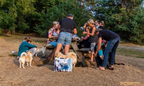 2018-08-22 Honden Reunie 022a