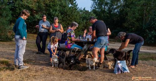 2018-08-22 Honden Reunie 023a