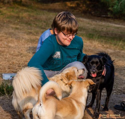 2018-08-22 Honden Reunie 024