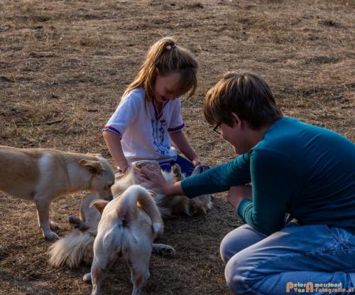 2018-08-22 Honden Reunie 025