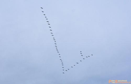 2018-01-05 Hoogwater 008