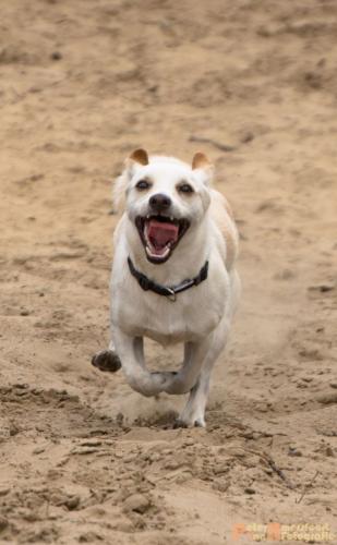 2017-08-06 Marco&Luna 13