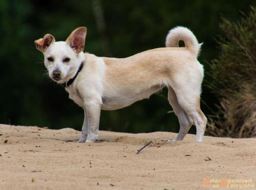 2017-08-06 Marco&Luna 24