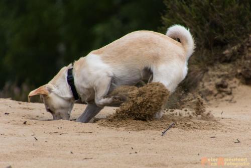 2017-08-06 Marco&Luna 25