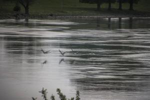 Fietstocht IJssel-29